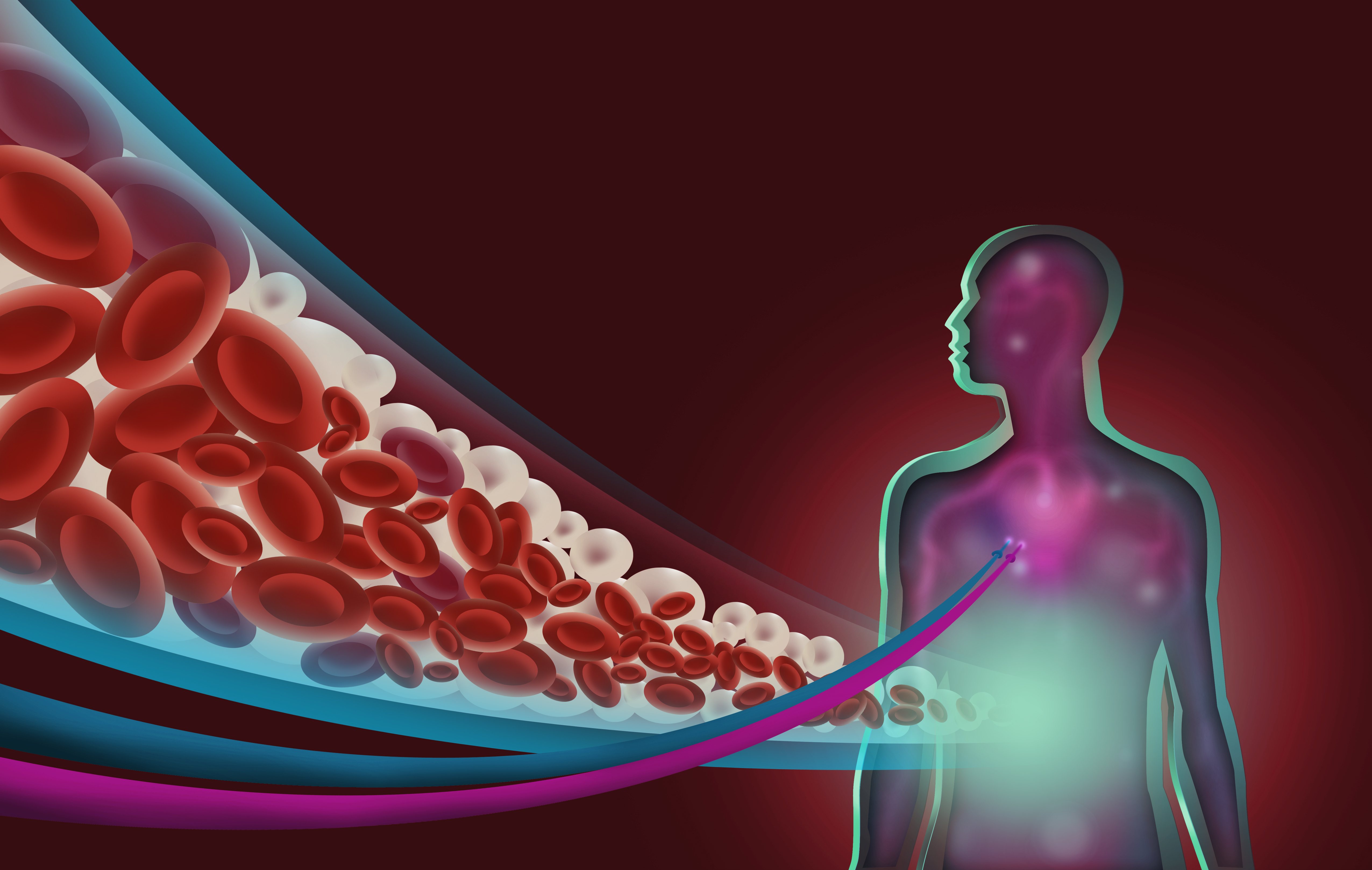 UPDATE CARDIOMETABOLICO