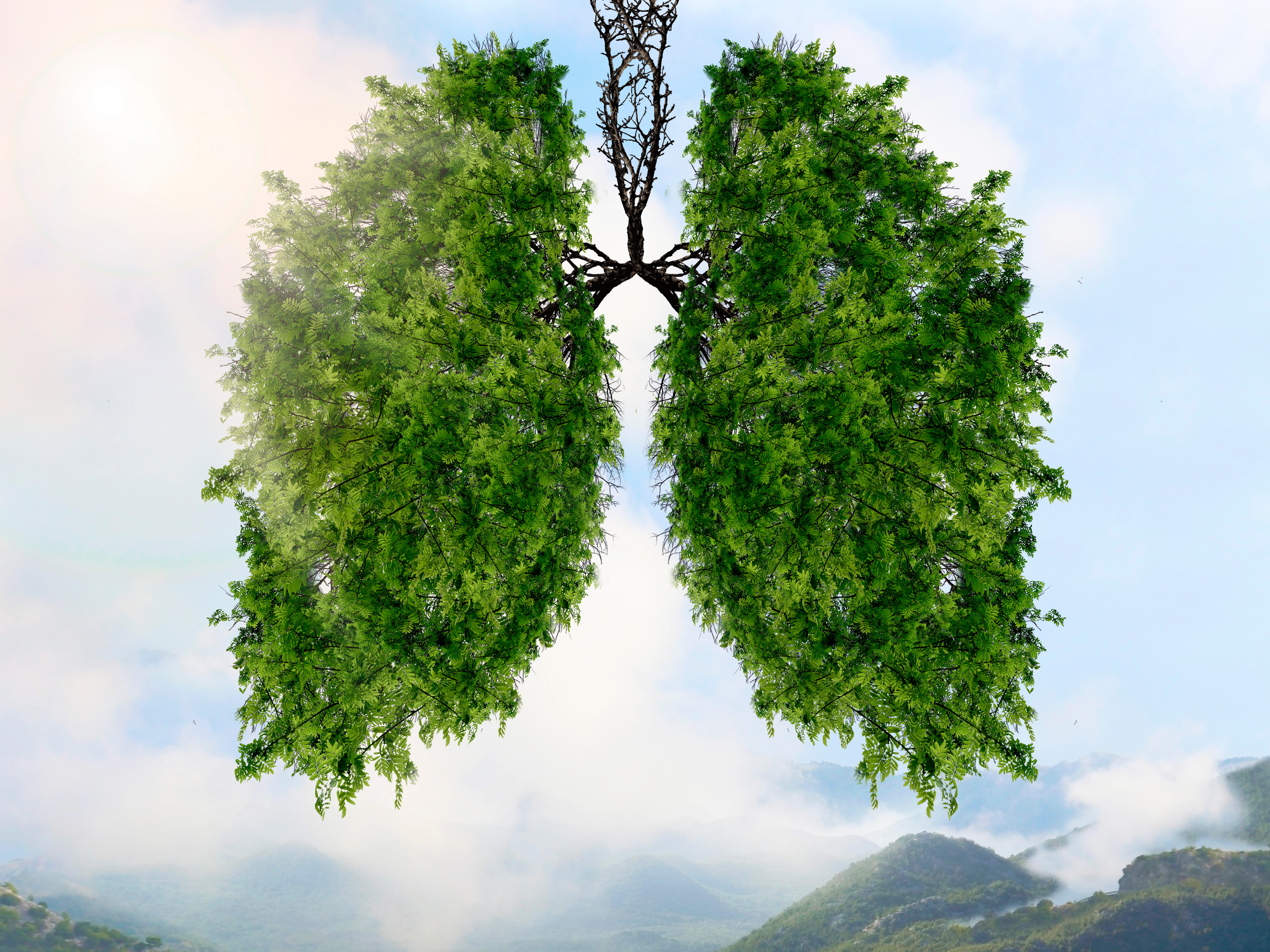 UPDATE SULLE PATOLOGIE POLMONARI_ottobre